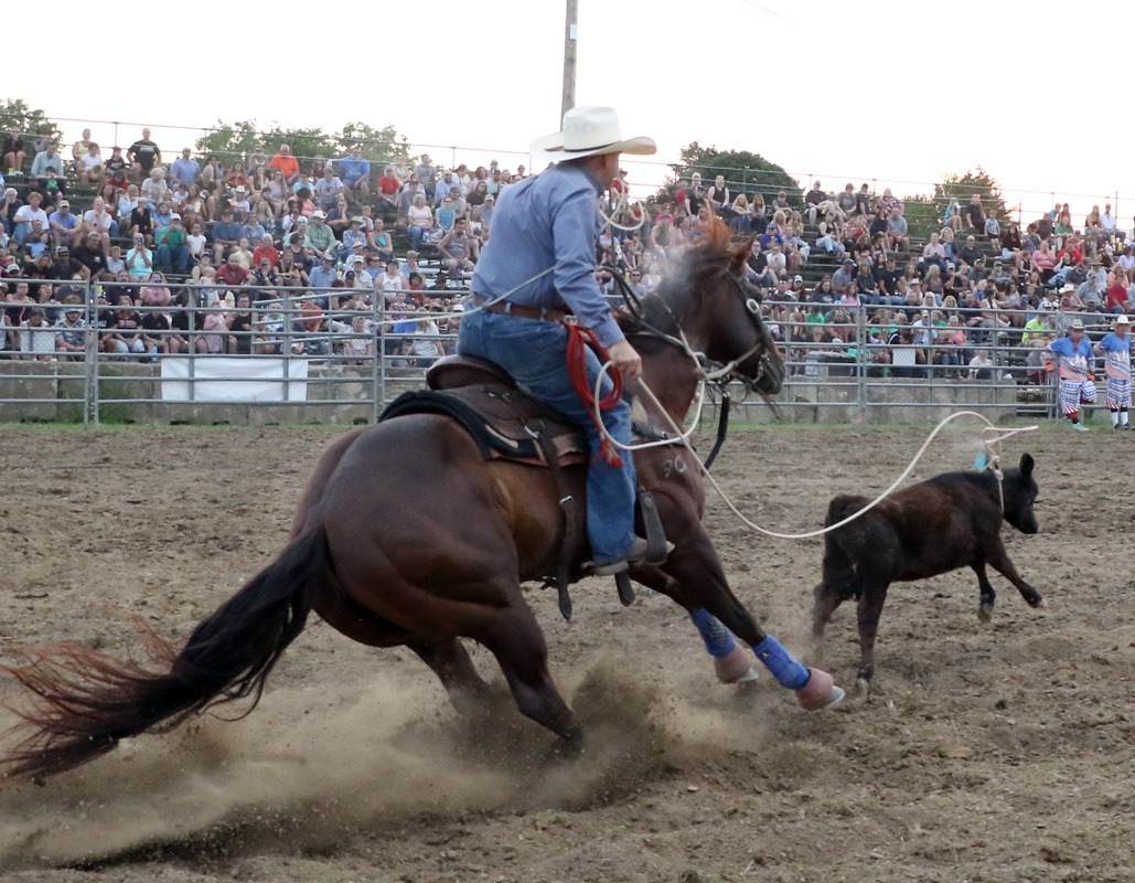 2023 Erie County Fair Photo Rodeo Calf Roping B