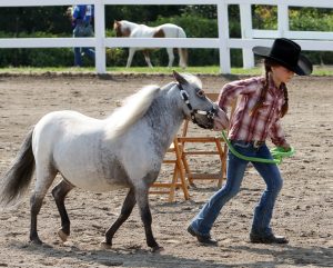 2023 Erie County Fair Photo
