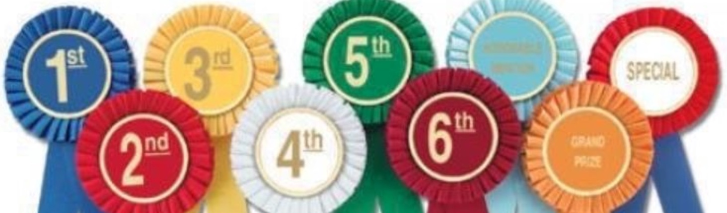 Place Ribbons Graphic