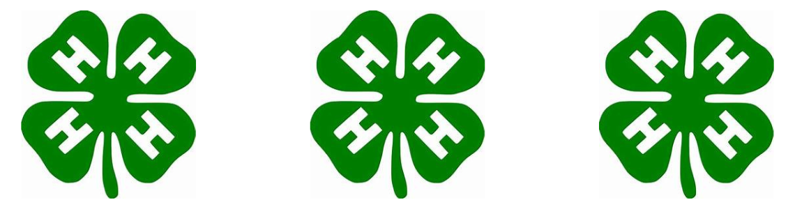 Jr. Fair Page with 4H Logo
