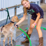 2024-08-Erie-County-Fair-051