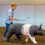 2024-08-Erie-County-Fair-154