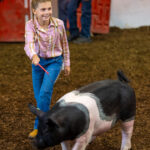 2024-08-Erie-County-Fair-172