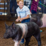 2024-08-Erie-County-Fair-181