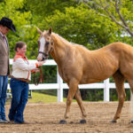 2024-08-Erie-County-Fair-200