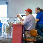 2024-08-Erie-County-Fair-453